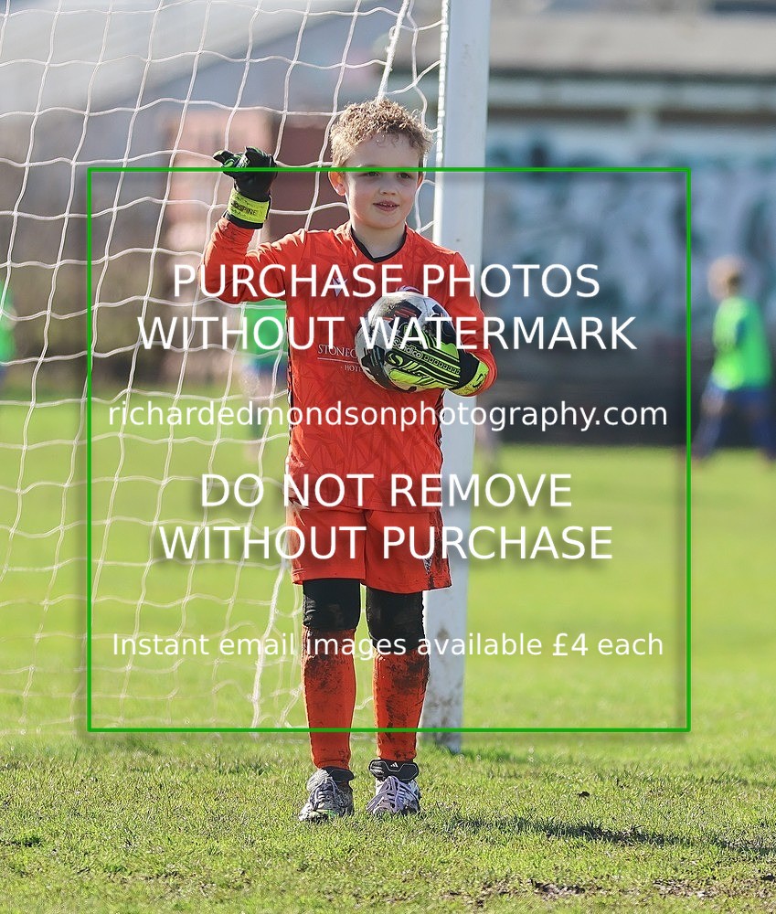 533A7788 - Ibis Under 8's (14/3/26)