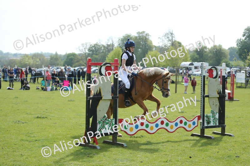 20260426-1615 - Class 14 - Novice 60cm