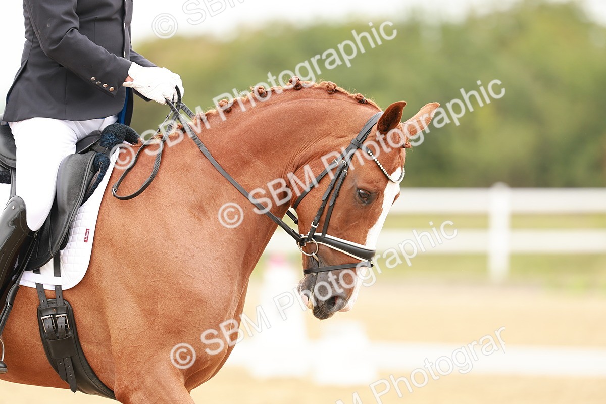 SBM_009346 - Class 12 - Elementary 6 - 10.50-11.50