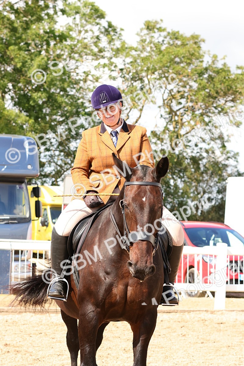 SBM_13528 - Class 212 - Ridden Hunter  - Large