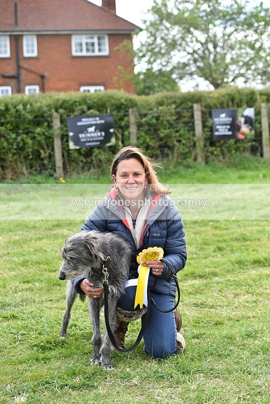 WJ5_9408 - Class 1 Best Cross Breed / Heniz 57