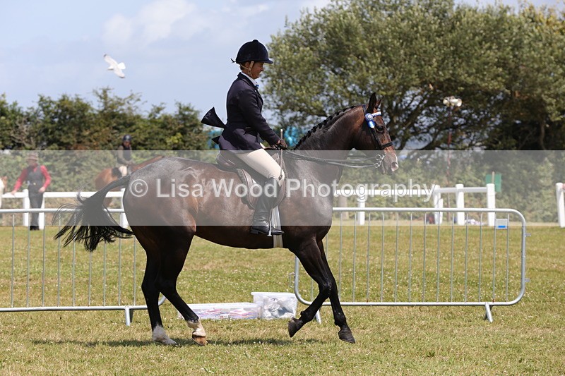 1X9A4588 - Class 34: Veteran Ridden