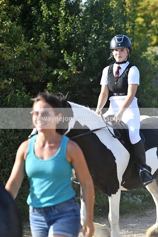 WJ5_5069 - Walk out with the hounds