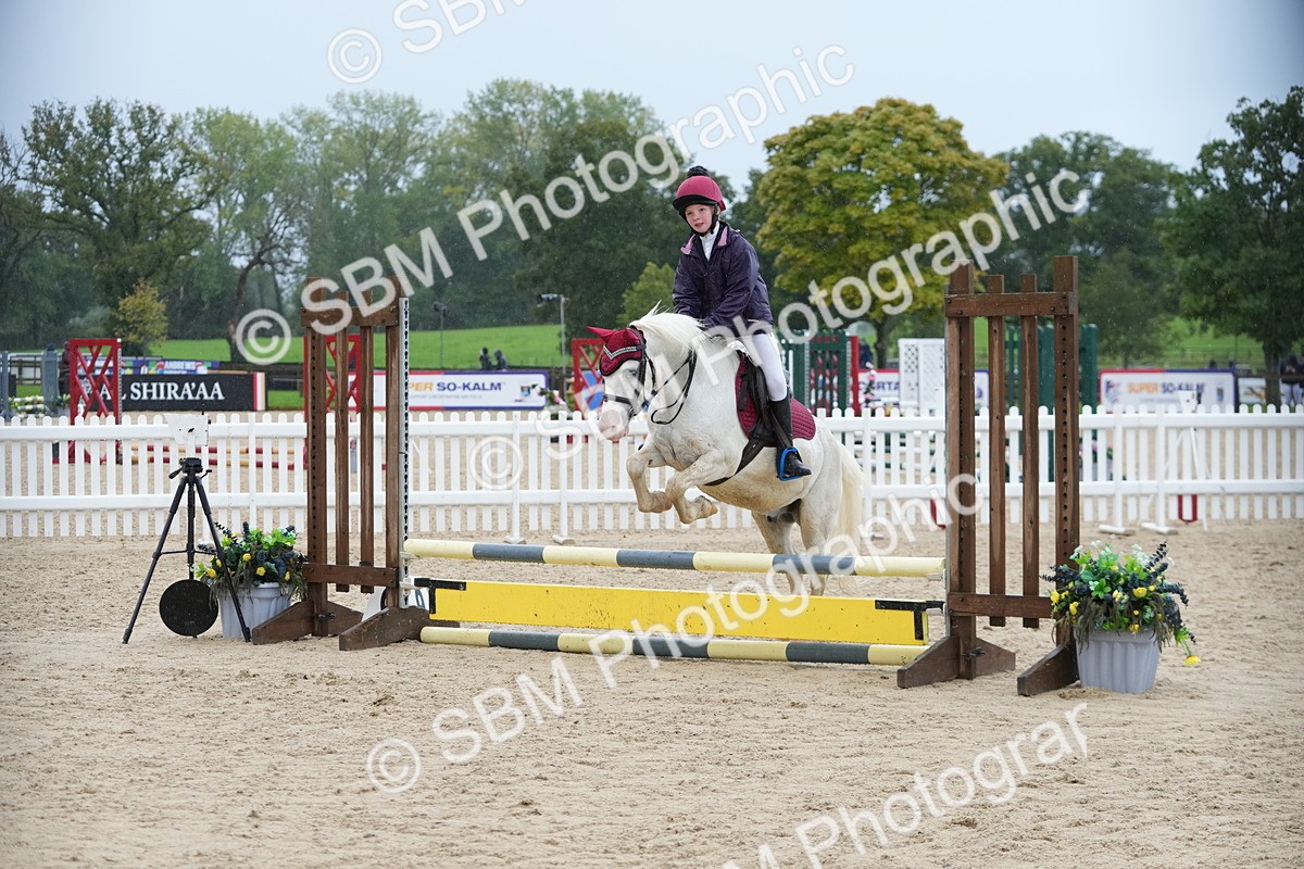 SBM_36336 - J5 - Junior Pony 50cm Championship