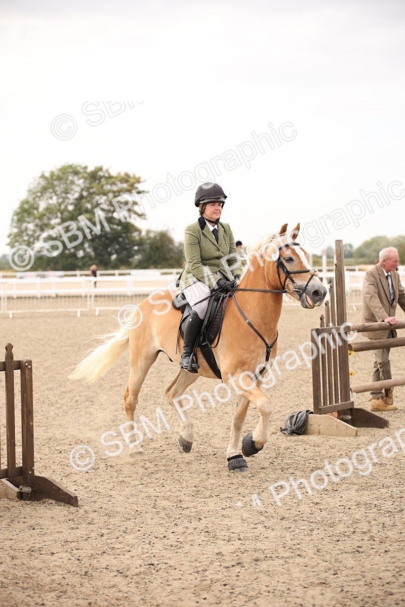 SBM_16162 - Class 409a - Working Veteran 80cm (15-19)