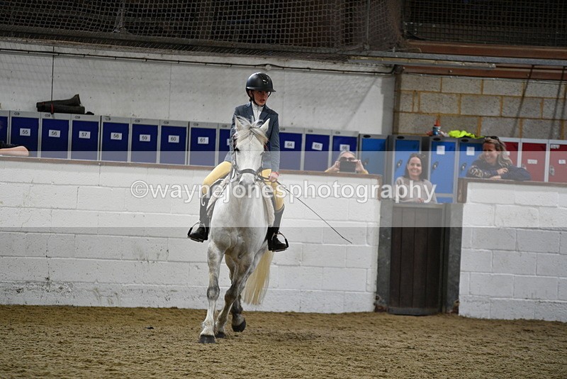 WJ5_7916 - Class 13 Ridden Part Breed