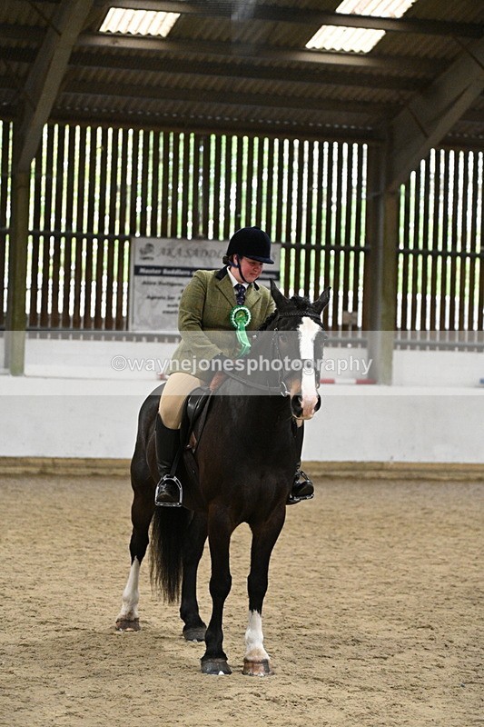 WJ7_4370 - Class 17 Ridden Cob