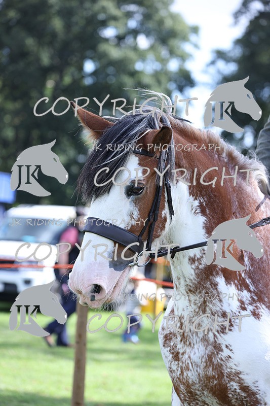 APP_3693 - Class 8 Ridden Class