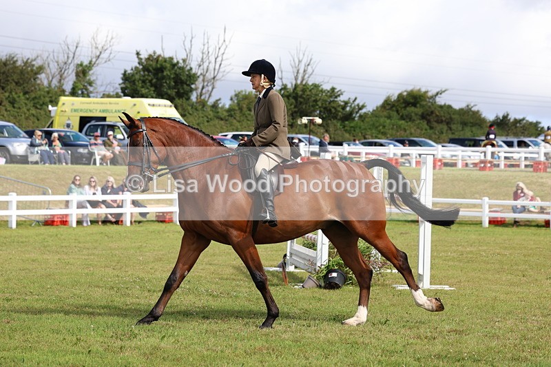 3E7A9489 - Class 4: Rising Star M/H Hunter