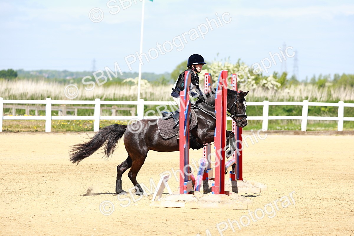 SBM_007335 - Class 3 - 60cm