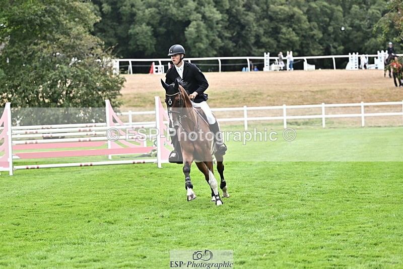 DSC_3851 - FAV_07736708329