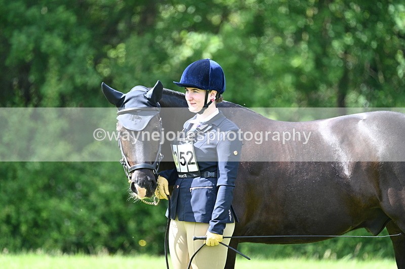 WJ7_1448 - Class 11 Condition & Turnout