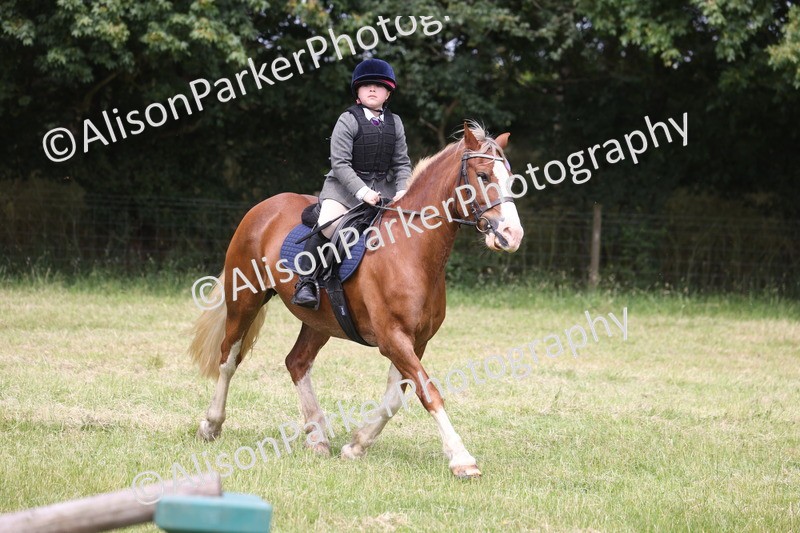 20260614-3237 - Class 22 - Open Working Hunter