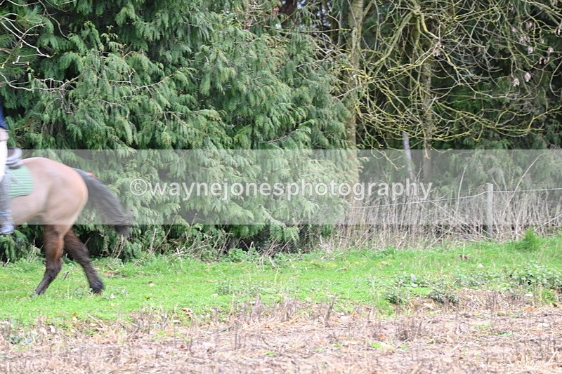 WJ6_9675 - Line Four