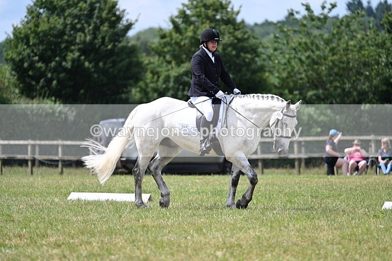 WJ7_4925 - Time 11:22 to 11:51