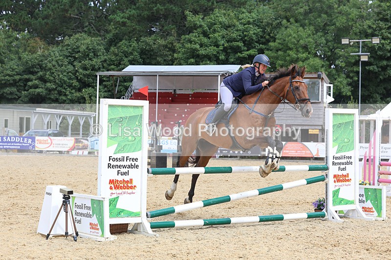 3E7A5095 - Class 4: Senior British Novice/90cm open