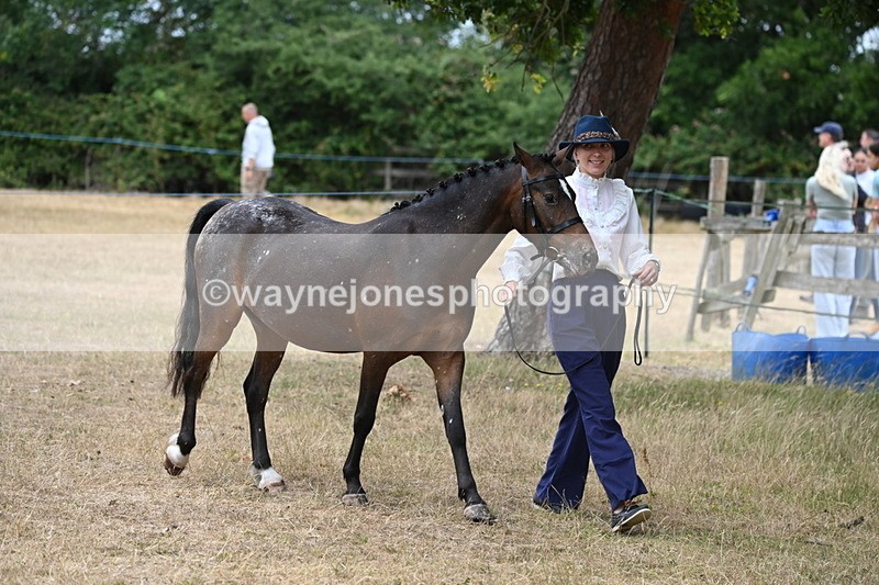 WJ6_7953 - Class 10 Coloured in Hand