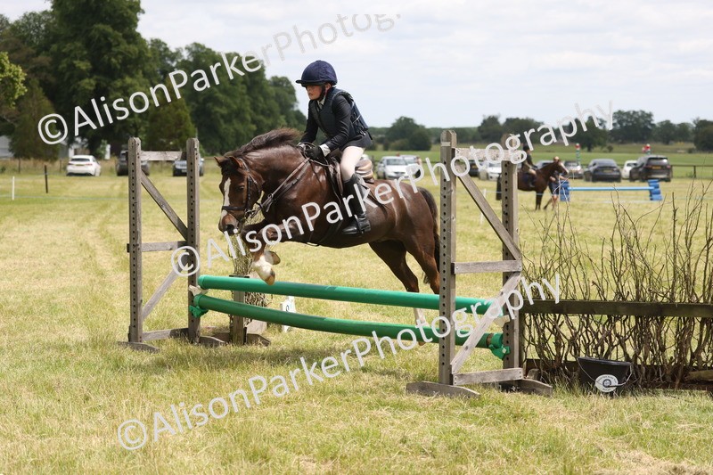 20260614-2786 - Class 22 - Open Working Hunter