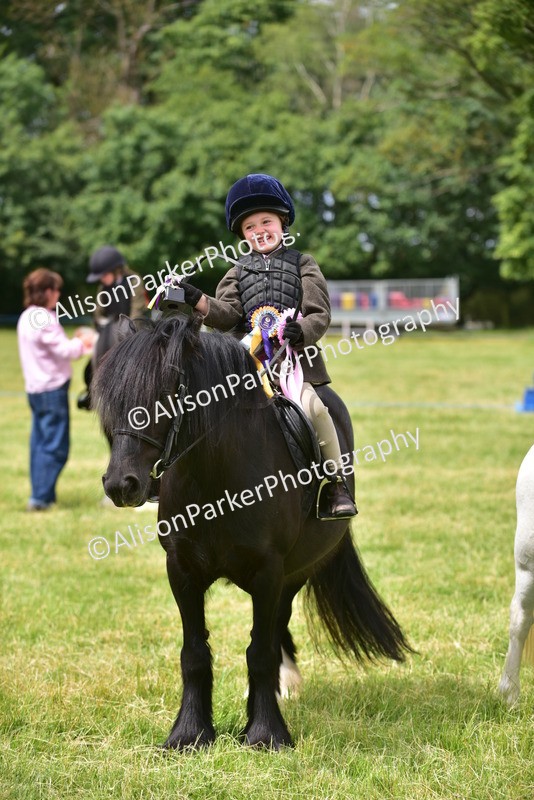 20260614-3735 - Class 15 - Prettiest Mare