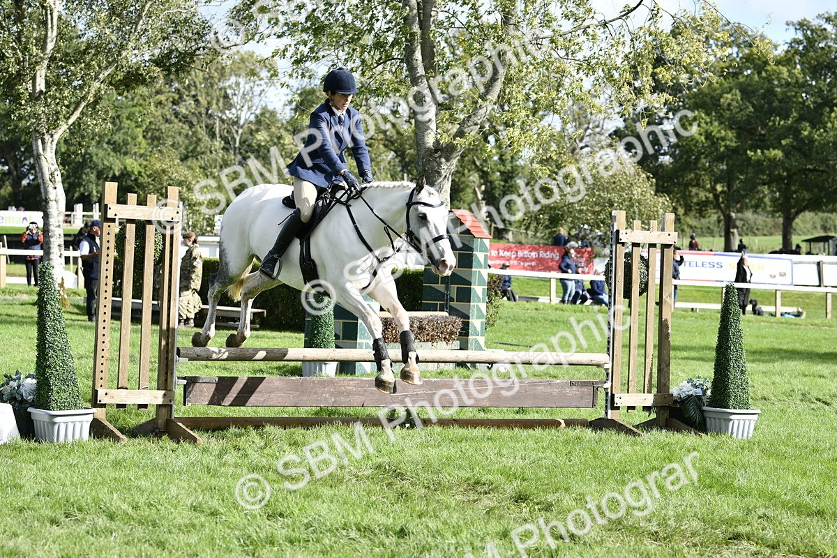 SBM_49970 - S34 - Novice & Newcomers Working Hunter