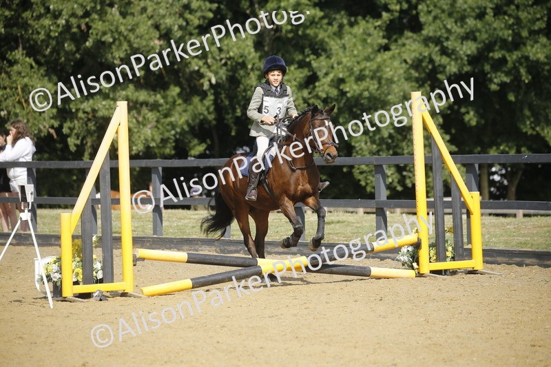 20250622-1612 - 40cm