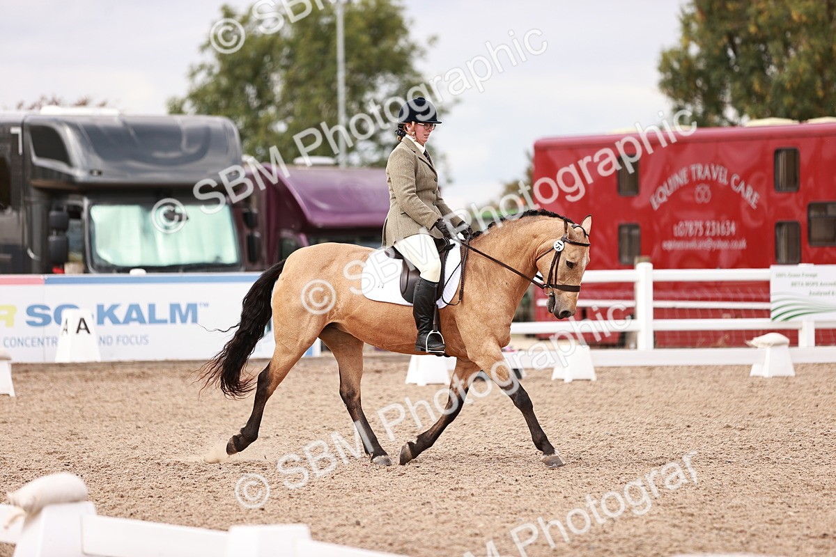 SBM_06334 - Class 37 - Novice 5