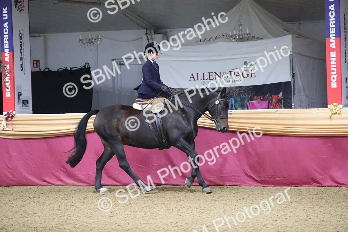 SBM_09268 - Class 101 Equitation (best rider), Junior