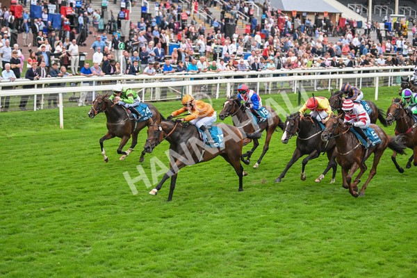 080925-Race 7-Canvas-7850 - Race 7 5.30pm Sky Bet, For The Fans Mile Apprentice Handicap