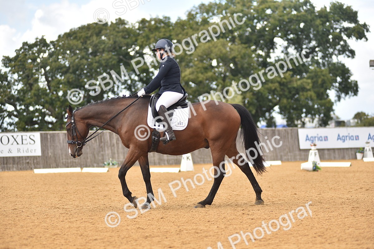 SBM_22471 - D13 - Grand Tour Championship Prelim 3