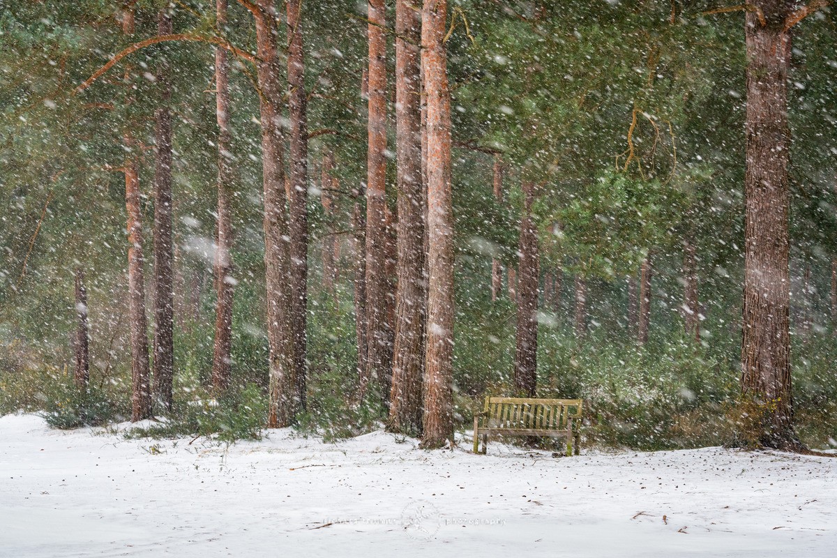 Bench in a snowstorm - WINTER