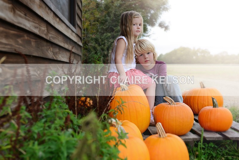 DSC_8810-5 - SEASONAL OUTDOOR SHOOTS - PUMPKINS