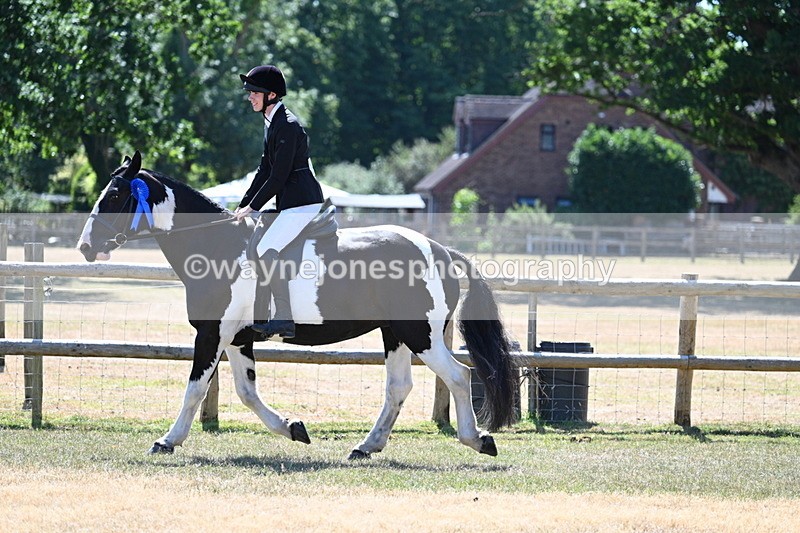 WJ7_3809 - Class 8 Ridden Veterans