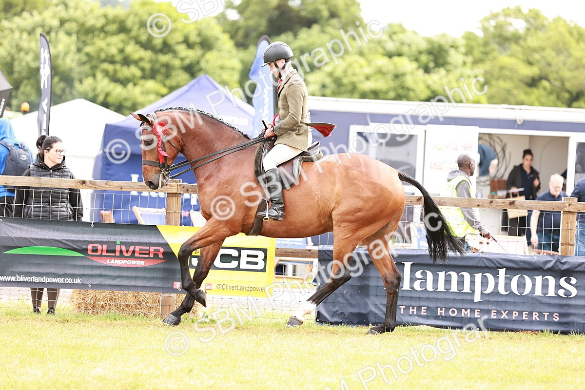 SBM_11592 - Class 81-84 - RIHS Ridden hunters Inc Ladies Hunter