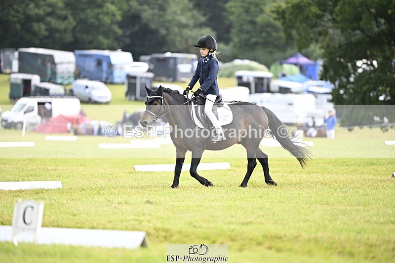 240824X-110410-25696 - D80 Section E and F 11.00 to 12.00