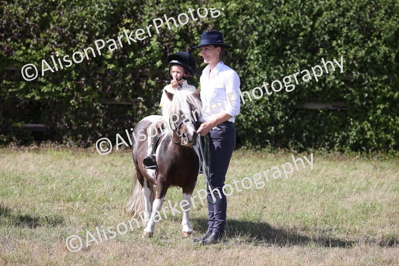 20260906-2764 - Class 25 - Absolute Beginners Pony