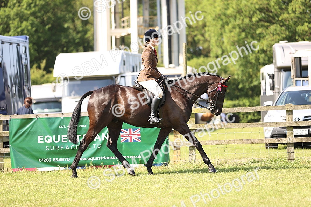 SBM_12968 - Class 75-76 LIHS BSHA Rising Star Hack Riding Horse