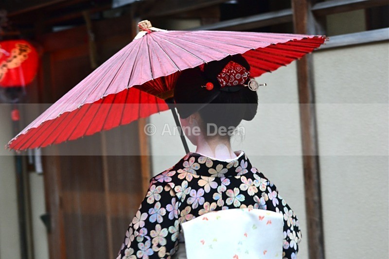 Keeping dry... - Japan