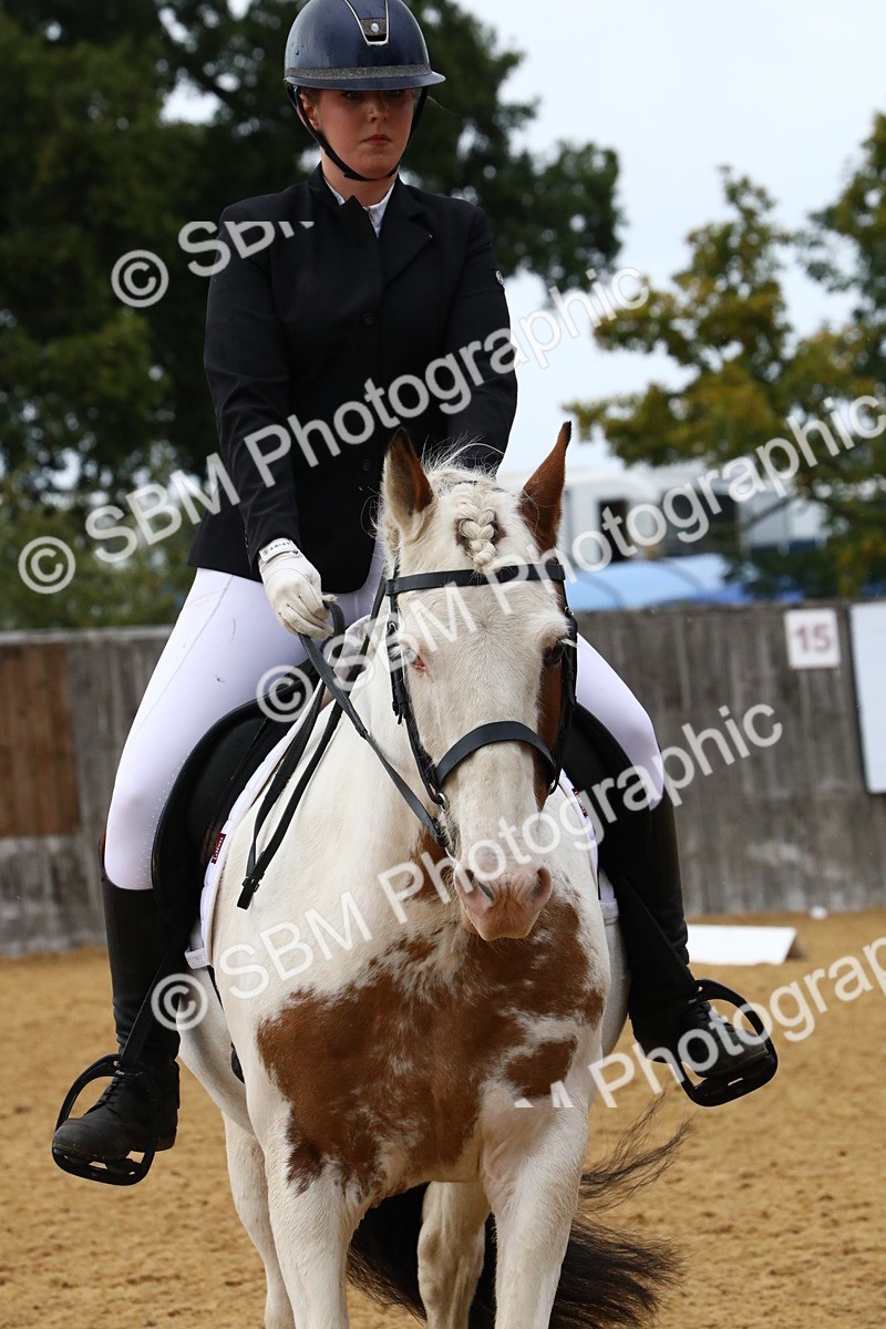 SBM_21000 - D5 - Small Tour Championshop Intro 2