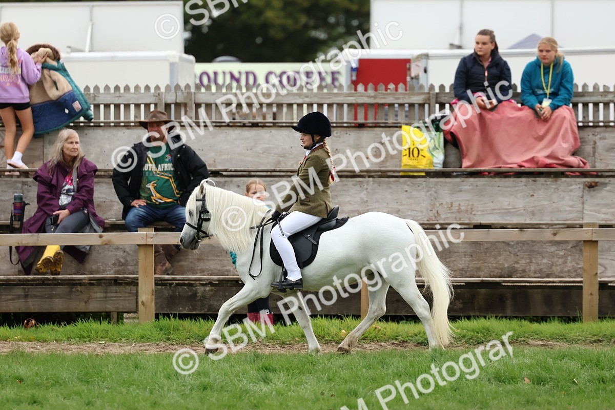 SBM_67478 - S61 - Mountain & Moorland Ridden