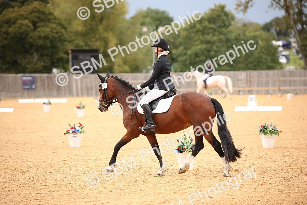 SBM_12232 - D3 Small  Tour Championship Intro A