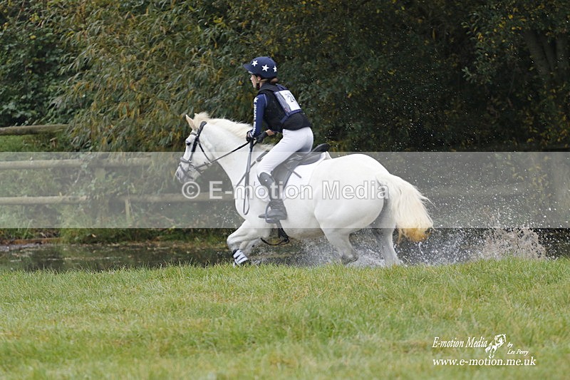 WWHT 171021 0552 - Novice Restricted (0.80m)  17/10/21