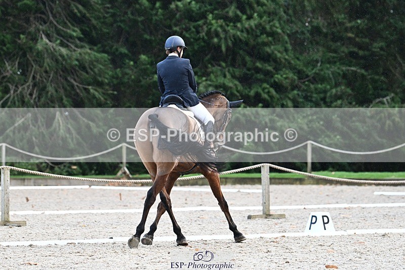 231110-143224-01953 - Cls 8 Medium 75Q