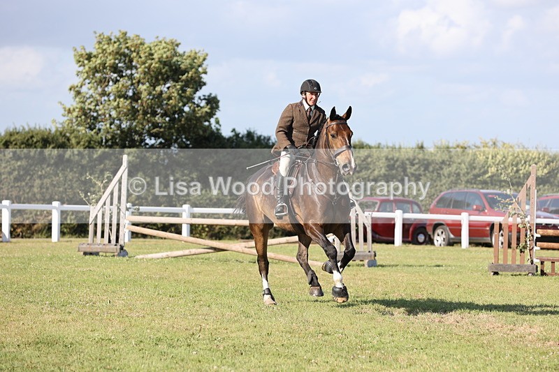 JPP_3078 - Class 21: Working Hunter 80cm