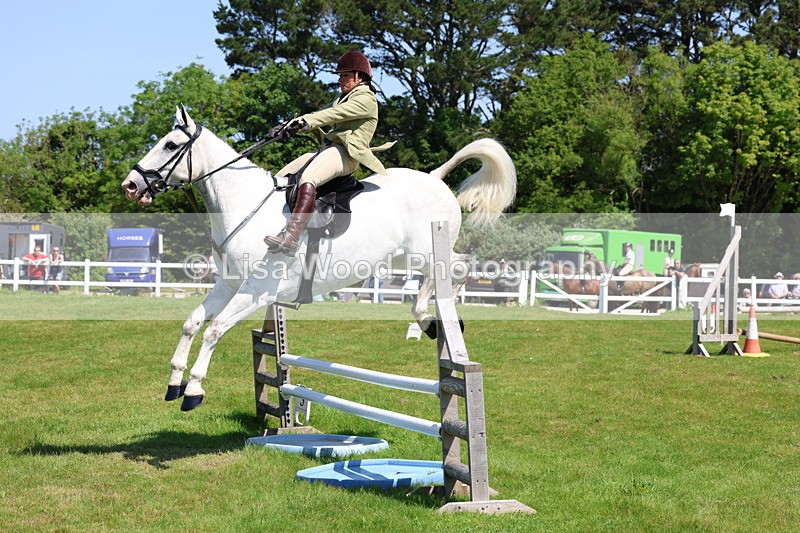 3E7A6907 - Class 30: Novice Working Hunter