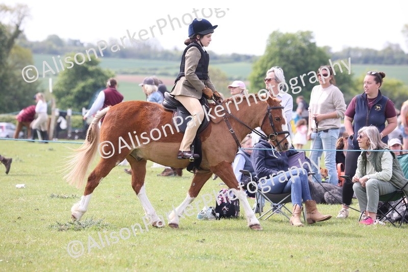 20260426-2918 - Class 33 - Best Pony 14.2hh and Under