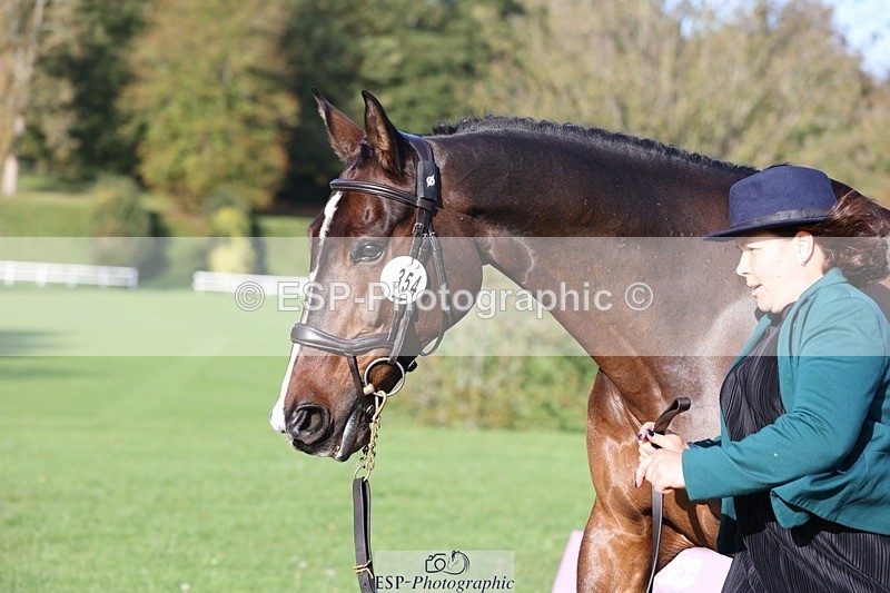 241027-095904-15621 - 354-Nicky.Ralph-ATLANTIC.COAST