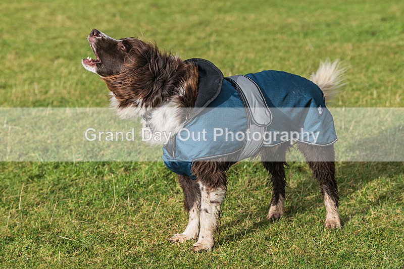 Loopy Latrigg-842 - Kong Running Loopy Latrigg Fell Race Saturday 20th December 2025