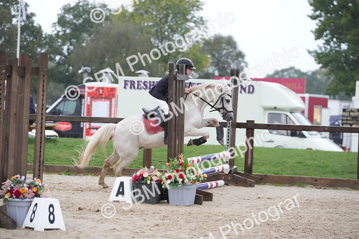 SBM_33586 - J5 - Junior Pony 50cm Championship