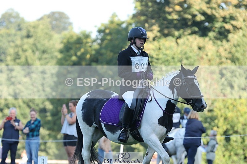 250823A-083944-25747 - Arena D