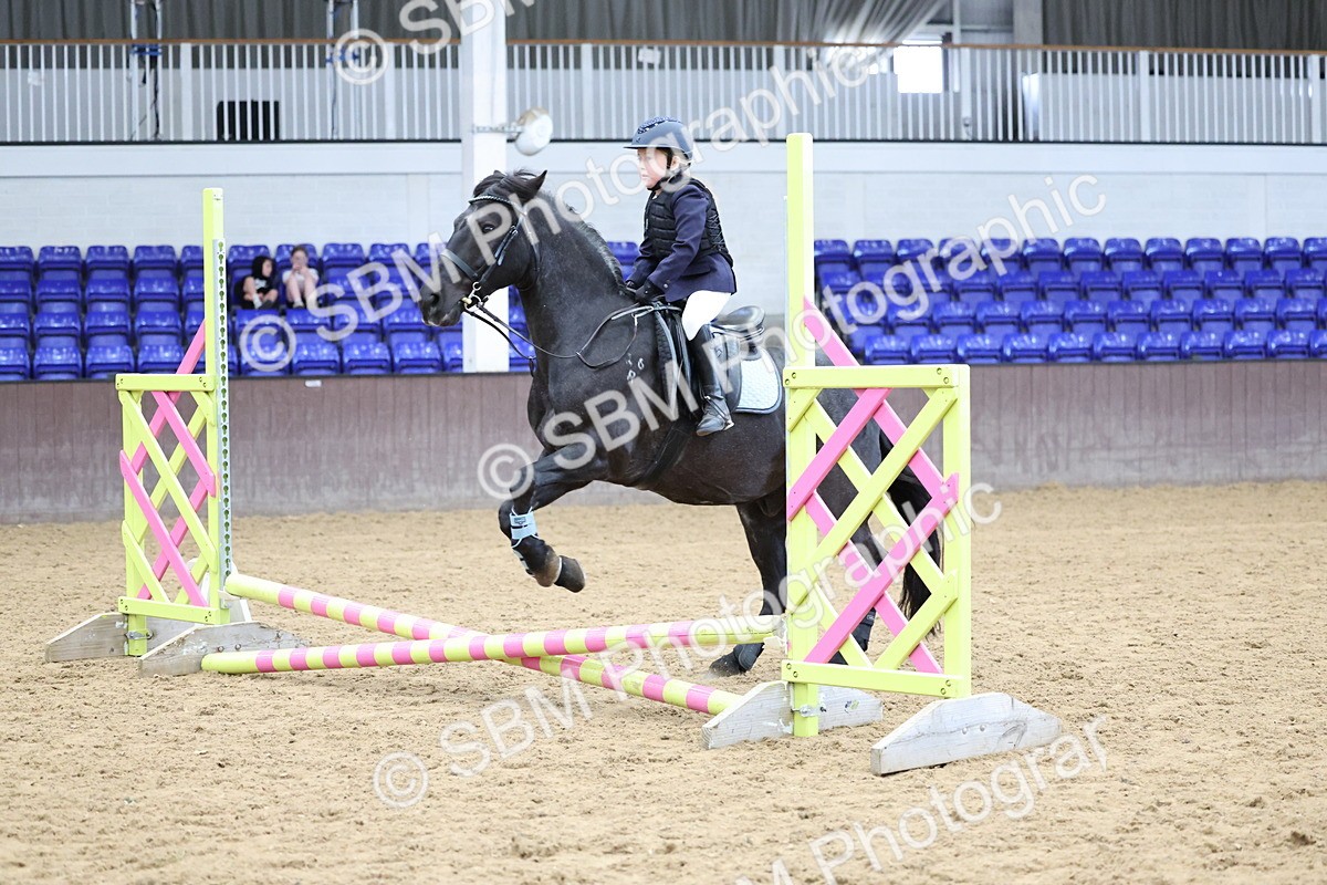 SBM_006886 - Class 1 - 40cm showjumping